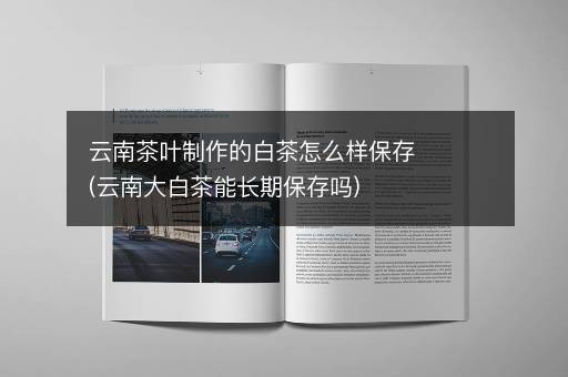 云南茶叶制作的白茶怎么样保存(云南大白茶能长期保存吗)