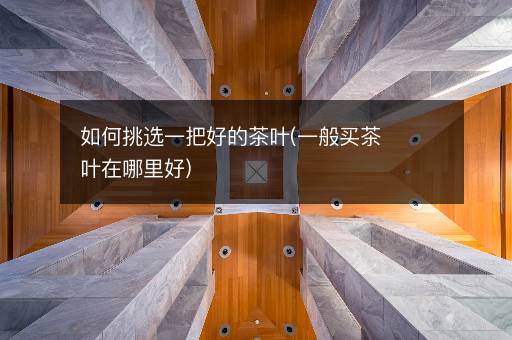 如何挑选一把好的茶叶(一般买茶叶在哪里好)