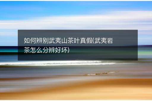 如何辨别武夷山茶叶真假(武夷岩茶怎么分辨好坏)