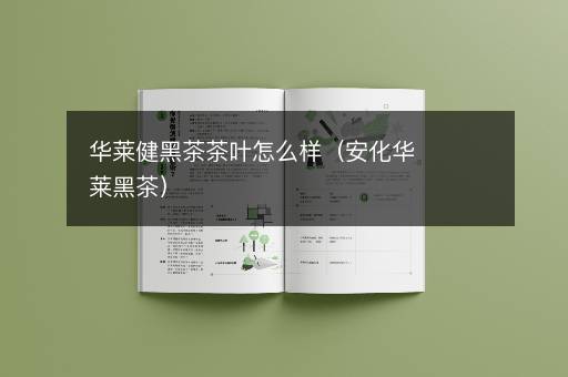 华莱健黑茶茶叶怎么样（安化华莱黑茶）