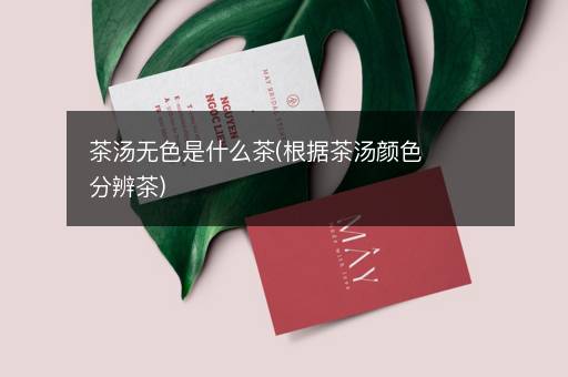 茶汤无色是什么茶(根据茶汤颜色分辨茶)