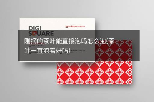 刚摘的茶叶能直接泡吗怎么泡(茶叶一直泡着好吗)