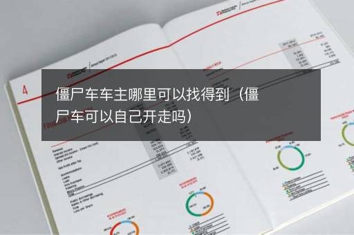 僵尸车车主哪里可以找得到（僵尸车可以自己开走吗）