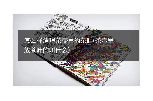 怎么样清理茶壶里的茶叶(茶壶里放茶叶的叫什么)