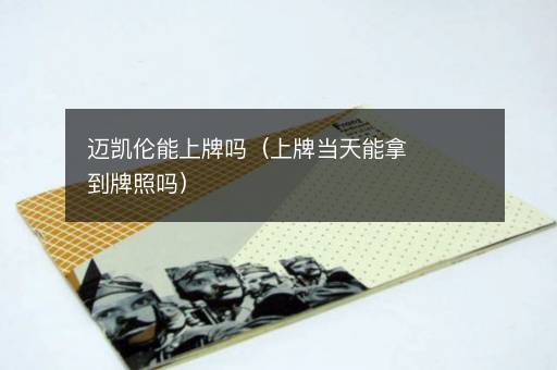 迈凯伦能上牌吗（上牌当天能拿到牌照吗）
