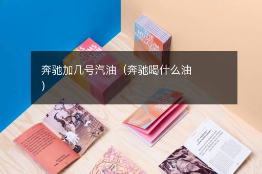 奔驰加几号汽油（奔驰喝什么油）