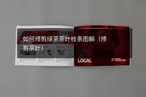 如何修剪绿茶茶叶枝条图解（修剪茶叶）