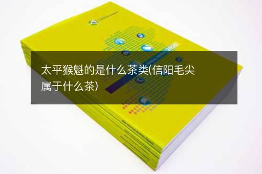 太平猴魁的是什么茶类(信阳毛尖属于什么茶)