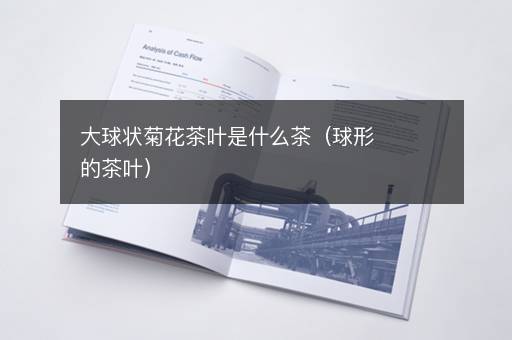 大球状菊花茶叶是什么茶（球形的茶叶）